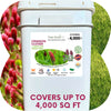 Crimson Clover + Mow Less Grass Seed – Eco-Friendly Lawn Mix for Pollinators & Low Maintenance