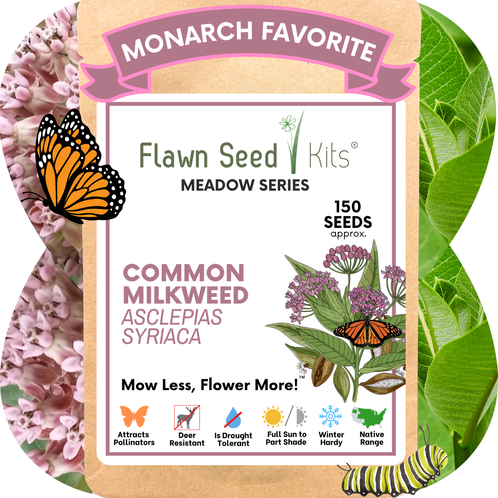 Flawn Seed Kits Common Milkweed seed packet with butterfly and plant illustration. Non-GMO Common Milkweed seeds in compostable packaging — support monarch butterflies & native pollinators. Easy to grow, drought-tolerant & zones 3–8. Shop now.