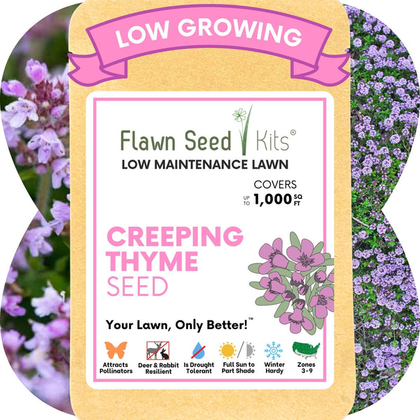 Creeping Thyme Seed Pouch: Create a Low-Growing, Eco-Friendly, Pollinator-Friendly Lawn