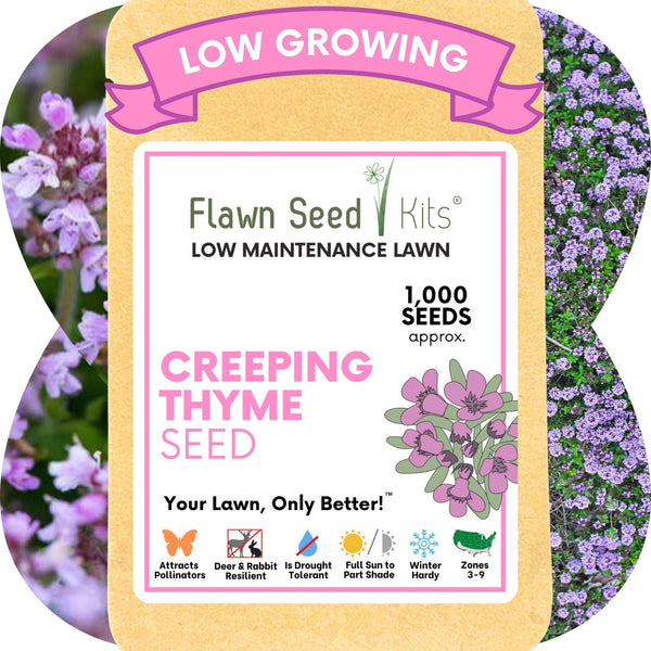 Creeping Thyme Seed Pouch: Create a Low-Growing, Eco-Friendly, Pollinator-Friendly Lawn