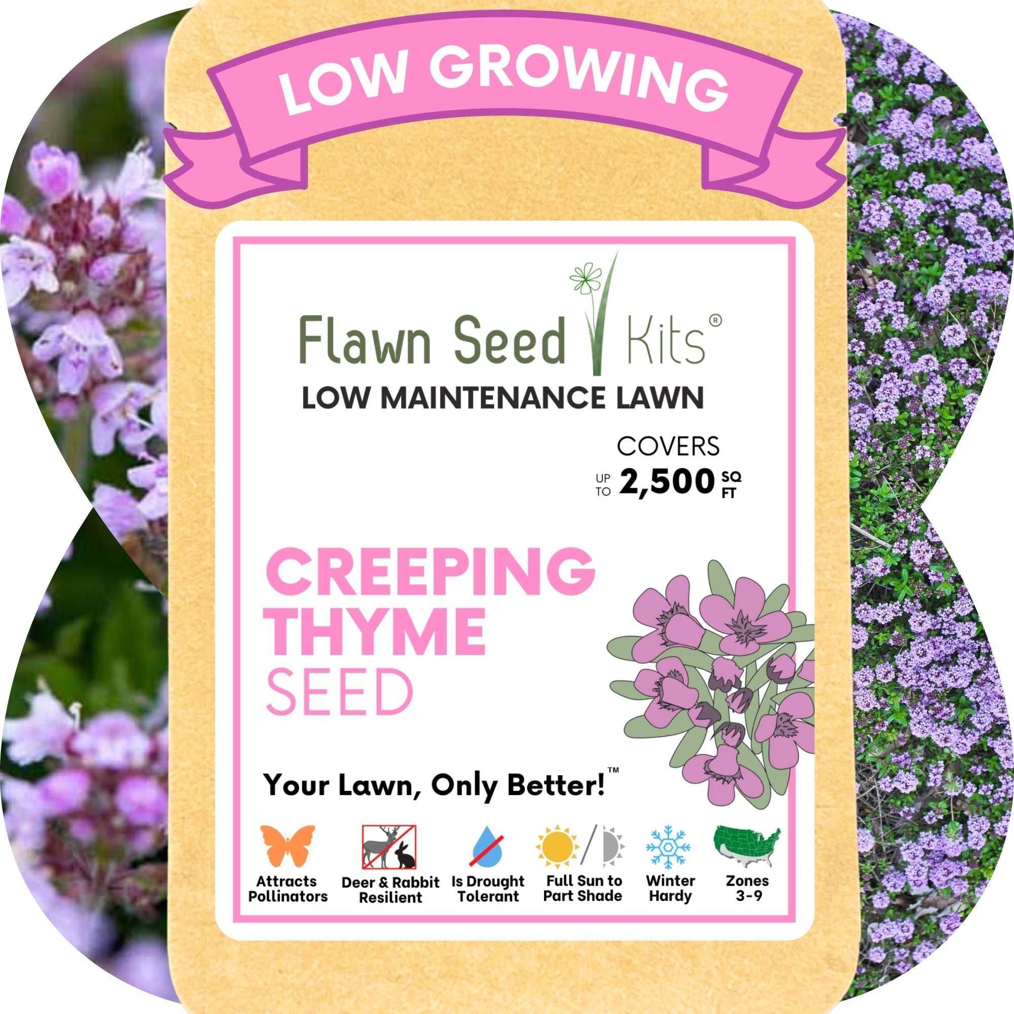 Creeping Thyme Seed Pouch: Create a Low-Growing, Eco-Friendly, Pollinator-Friendly Lawn