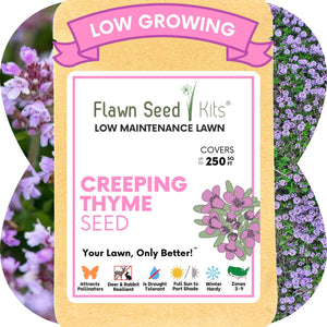 Creeping Thyme Seed Pouch – Non-GMO Low-Maintenance Flowering Lawn
