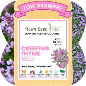 Creeping Thyme Seed Pouch by Flawn Seed Kits – non-GMO flowering lawn ground cover seeds in compostable kraft packaging