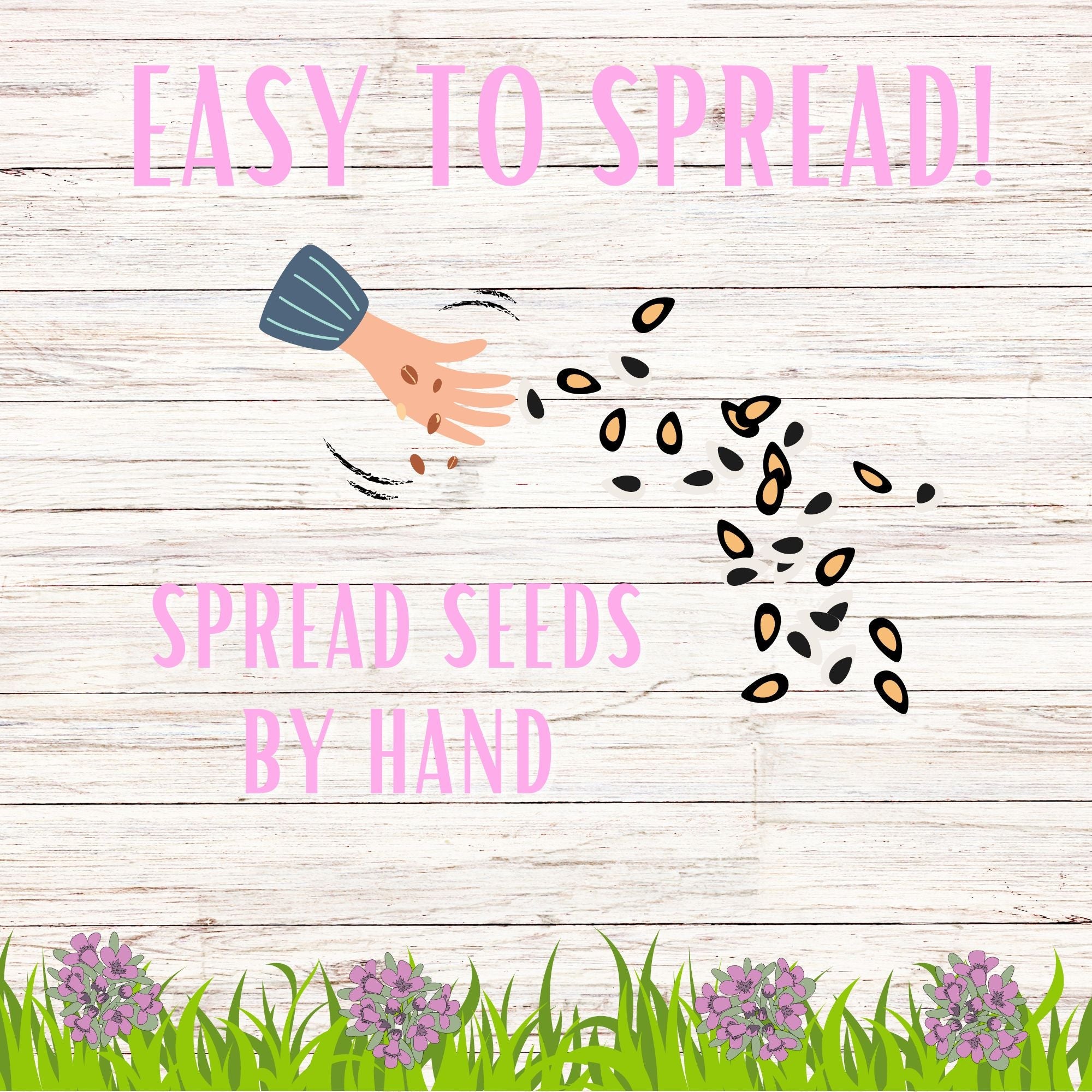 Grow a beautiful Creeping Thyme flowering lawn with our non-GMO seed pouch. Low-growing, pollinator-friendly, low-maintenance, and drought-tolerant. Reduce your carbon footprint. Perfect eco-friendly gift!