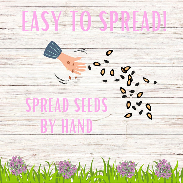 Grow a beautiful Creeping Thyme flowering lawn with our non-GMO seed pouch. Low-growing, pollinator-friendly, low-maintenance, and drought-tolerant. Reduce your carbon footprint. Perfect eco-friendly gift!