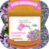 Creeping Thyme Eco-Friendly Seeding Kit