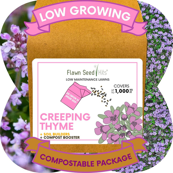 Creeping Thyme Eco-Friendly Seeding Kit