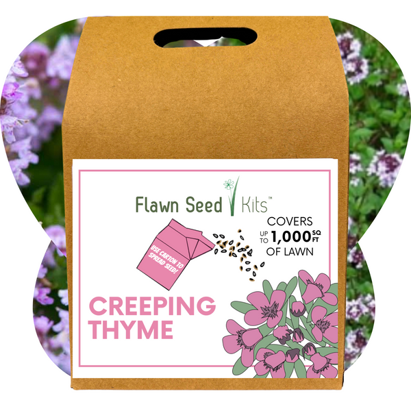 Flawn Seed Kits Creeping Thyme packaging with floral background