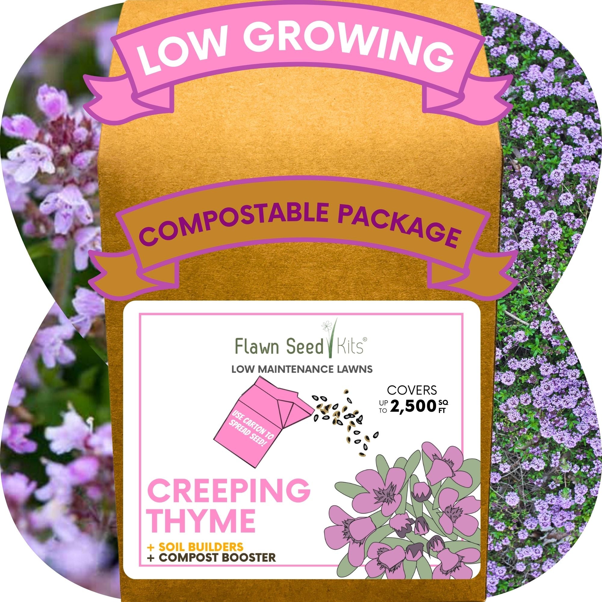 Creeping Thyme Eco-Friendly Seeding Kit