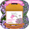 Creeping Thyme Eco-Friendly Seeding Kit