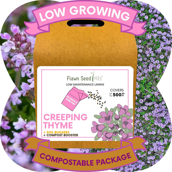 Creeping Thyme Eco-Friendly Seeding Kit