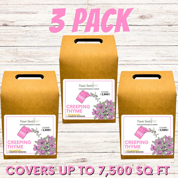 Creeping Thyme Eco-Friendly Seeding Kit