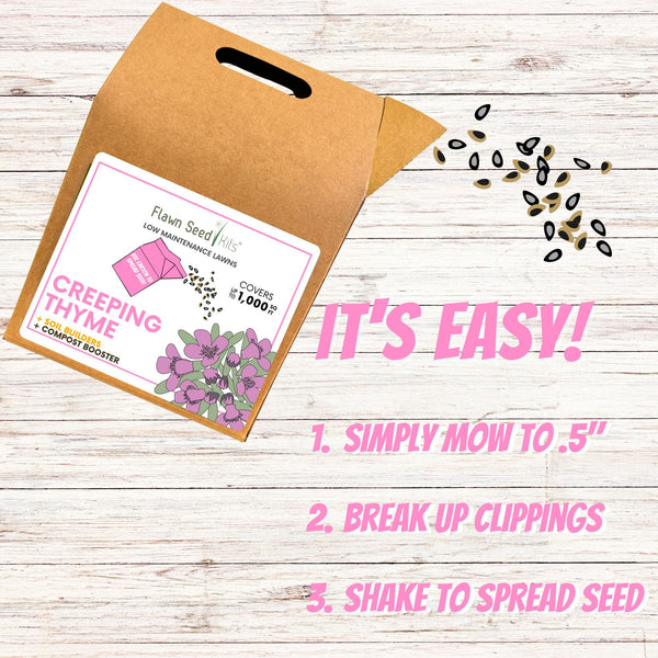 Creeping Thyme Eco-Friendly Seeding Kit