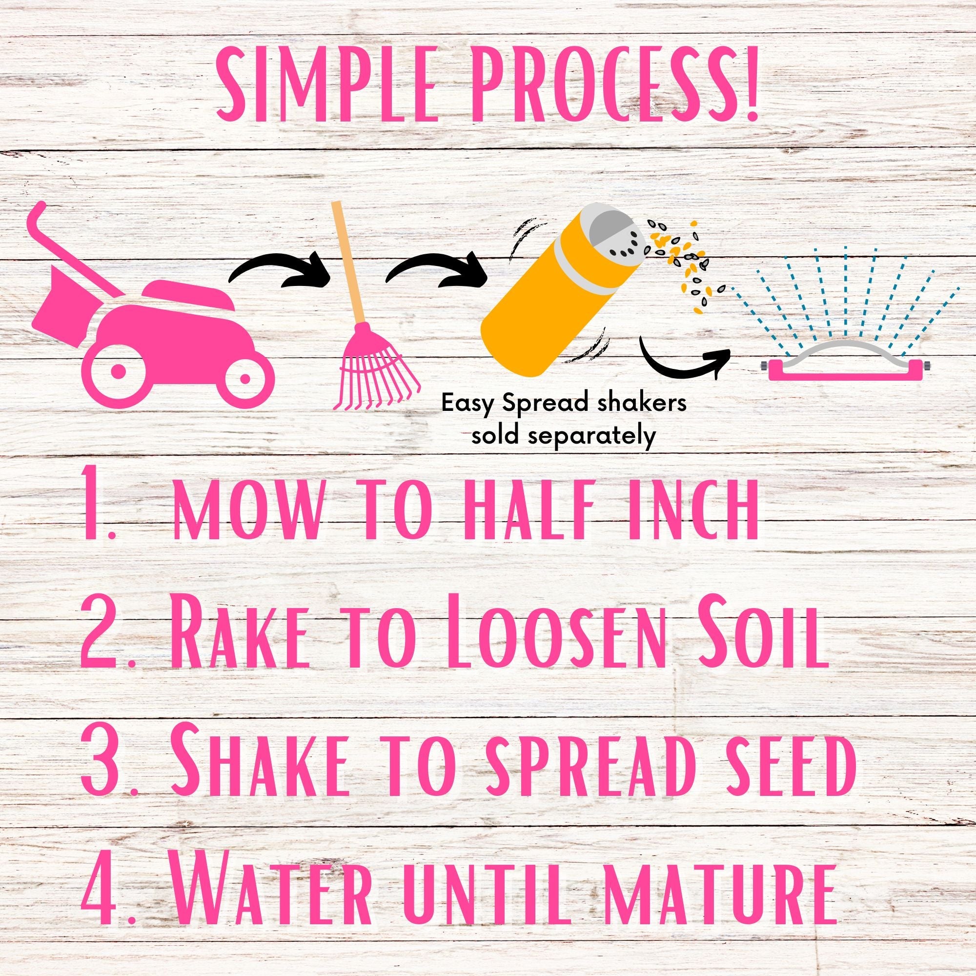 Sweet Alyssum Royal Carpet Seed Pouch: Fragrant Lavender Blooms for Your Eco-Friendly Lawn