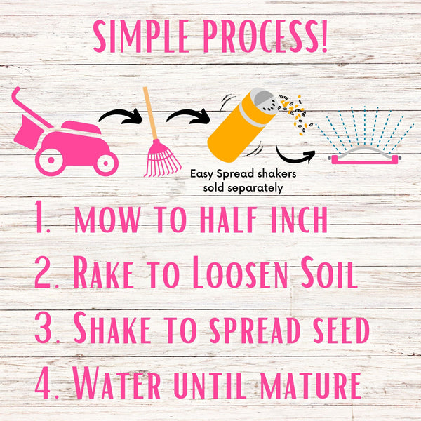 Creeping Thyme Seed Pouch: Create a Low-Growing, Eco-Friendly, Pollinator-Friendly Lawn