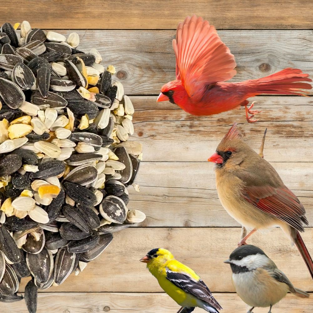 Birdseed mix with cardinals and other birds on a wooden background