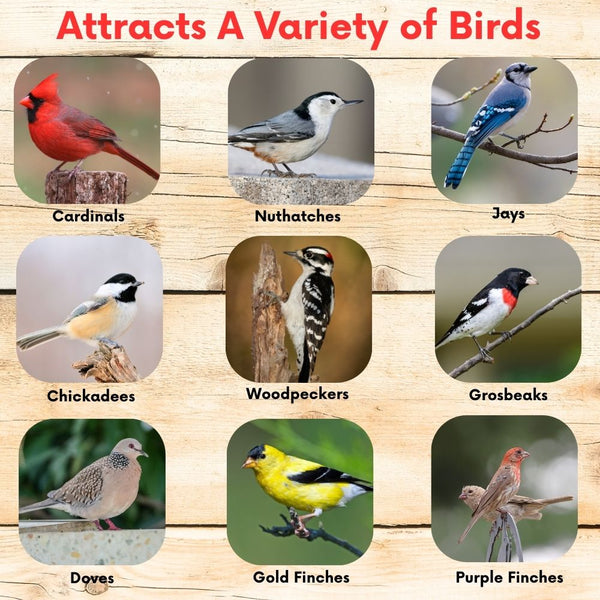 Cardinal & Finch Feast Wild Bird Seed Blend