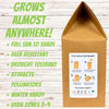 Micro Clover Seed Eco-Spread Carton