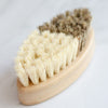 No Tox Life CASA AGAVE® eco-friendly vegetable brush sustainable kitchen cleaning tool