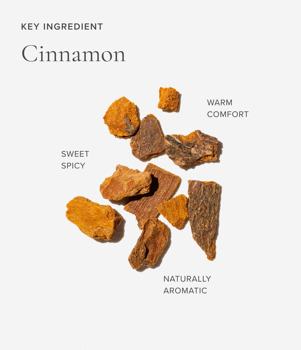 Dried cinnamon pieces on a white background with descriptive text.