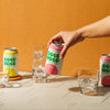 Citrus Garden Pack kombucha bundle from GoodMood Kombucha