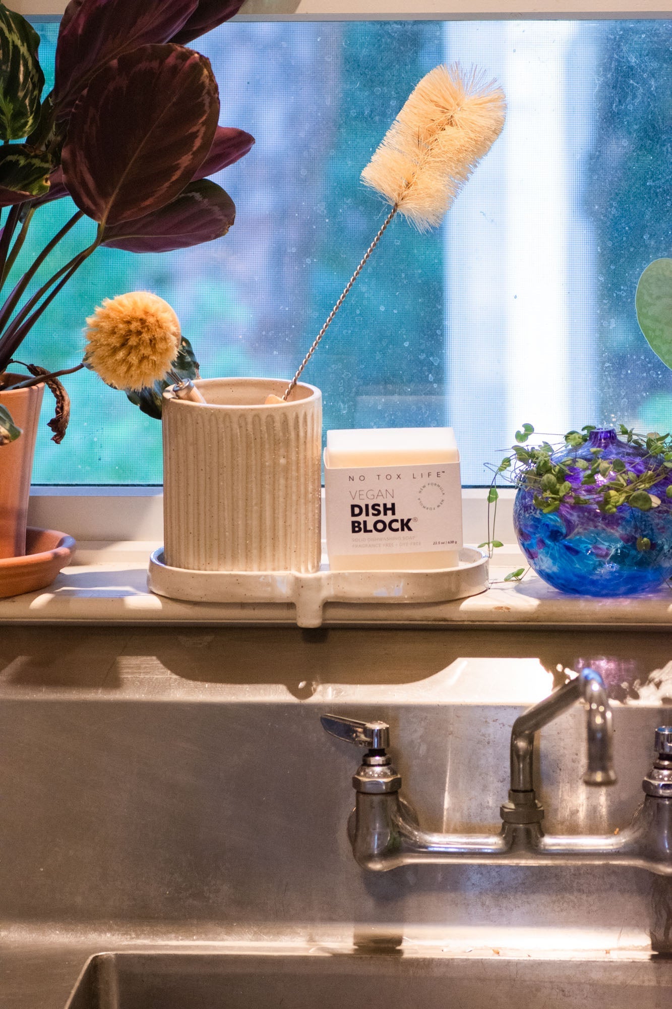 Dish block with cleaning brush on a kitchen counter with plants and window in the background