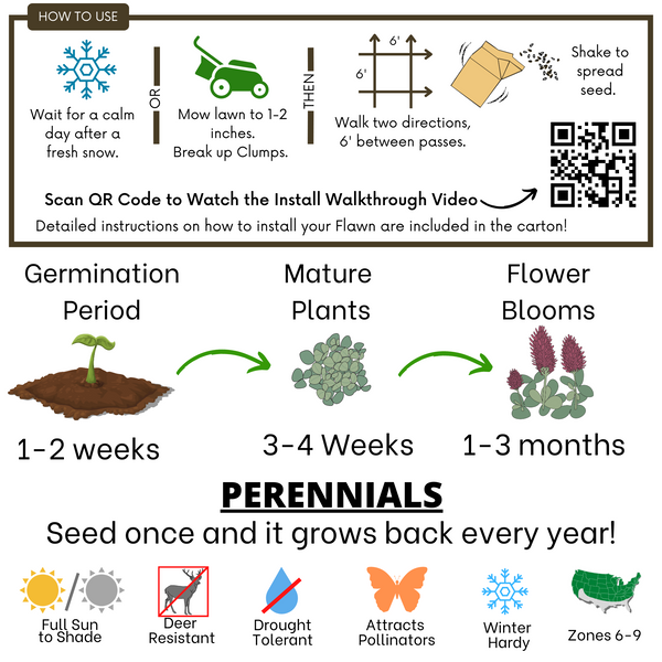 Crimson Clover Eco-Friendly Seeding Kit