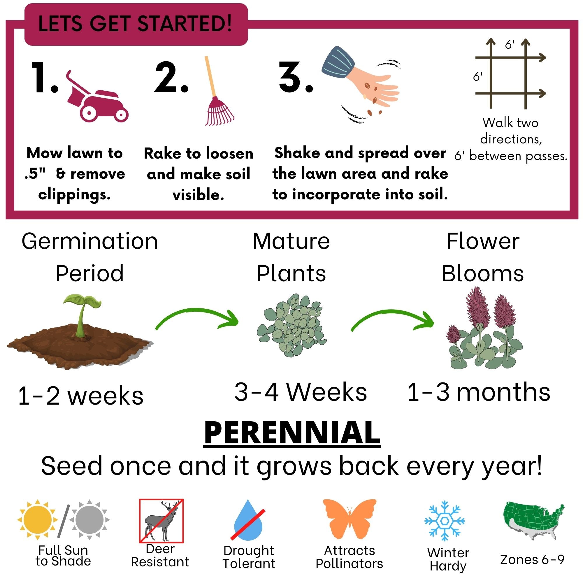 Crimson Clover + Mow Less Grass Seed – Eco-Friendly Lawn Mix for Pollinators & Low Maintenance