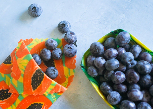 Blueberries on a colorful paper plate and in a green container on a light surface.
