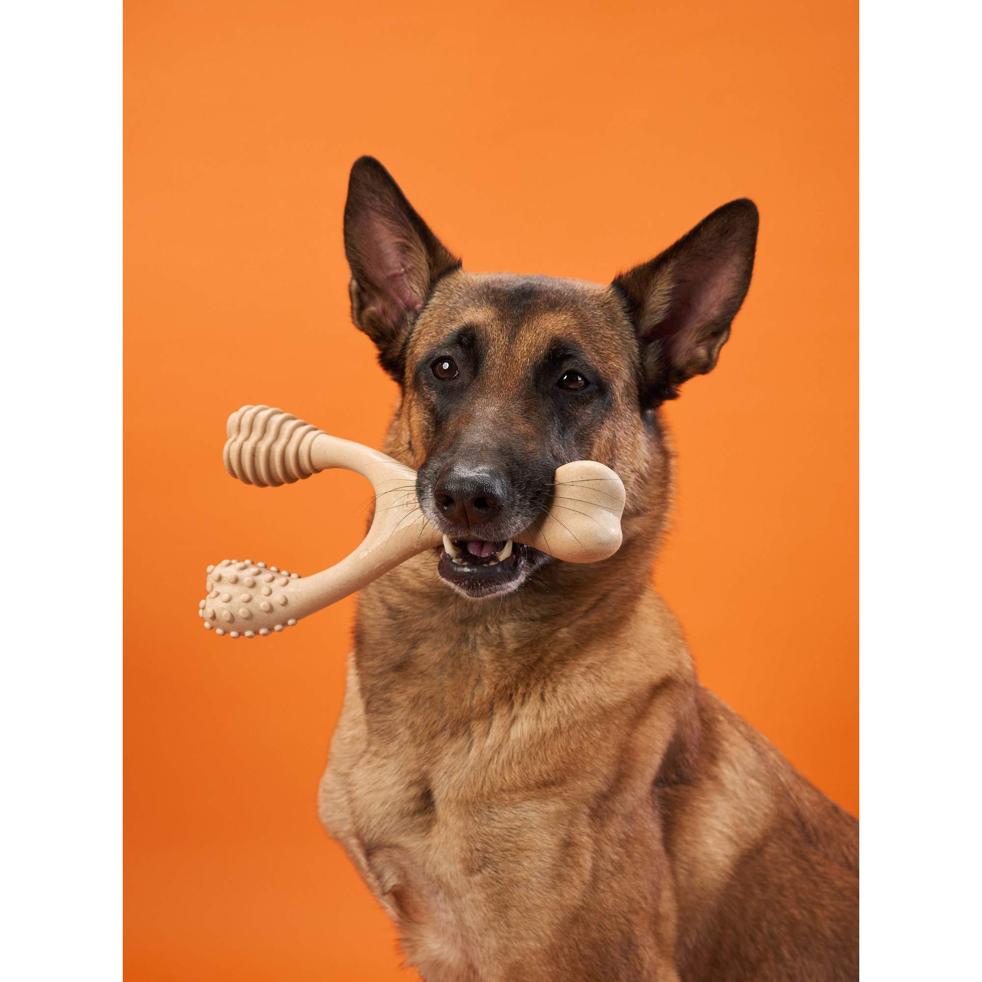 Close-up of BetterBone HARD chew toy showing dental nubs and eco-friendly design details