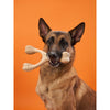 Close-up of BetterBone HARD chew toy showing dental nubs and eco-friendly design details