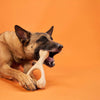 Dog happily chewing BetterBone HARD durable natural chew toy made from food-grade ingredients