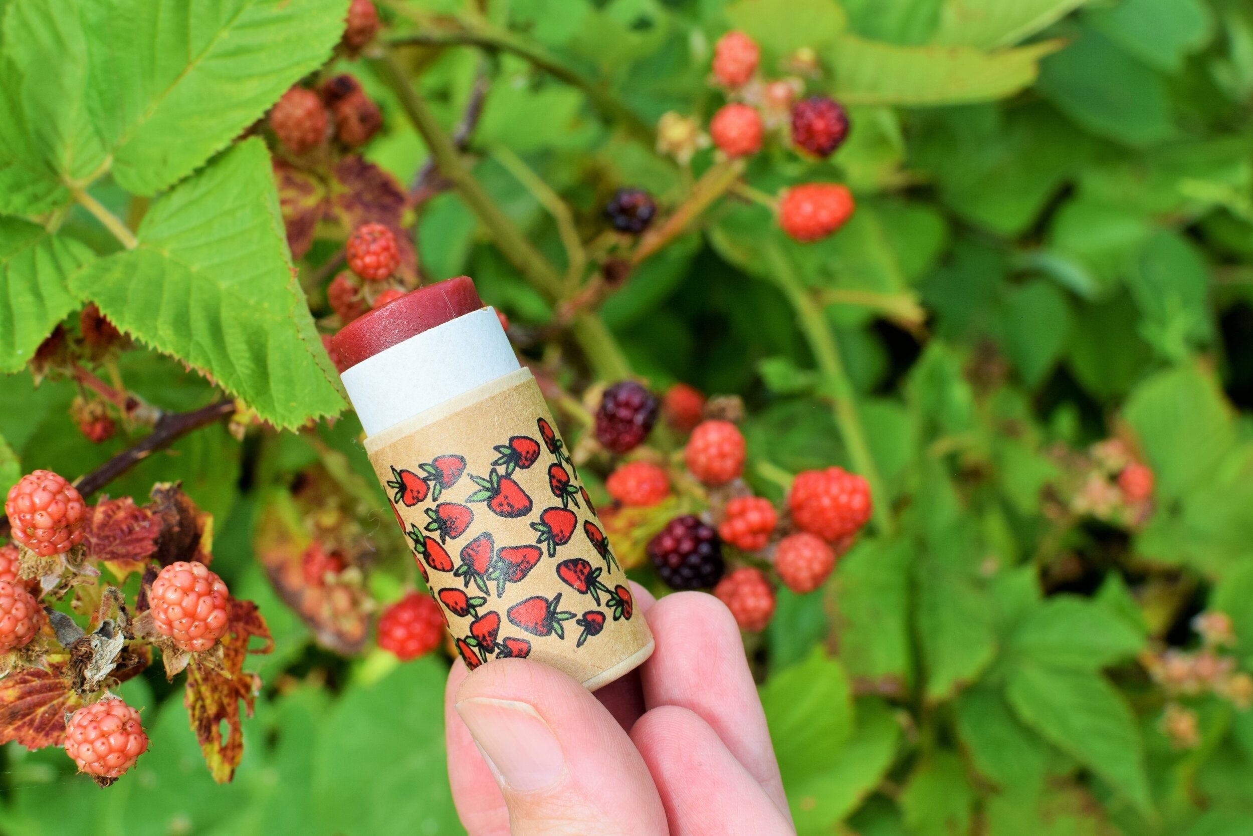 Lip balm with strawberry design held in front of a bush with berries
