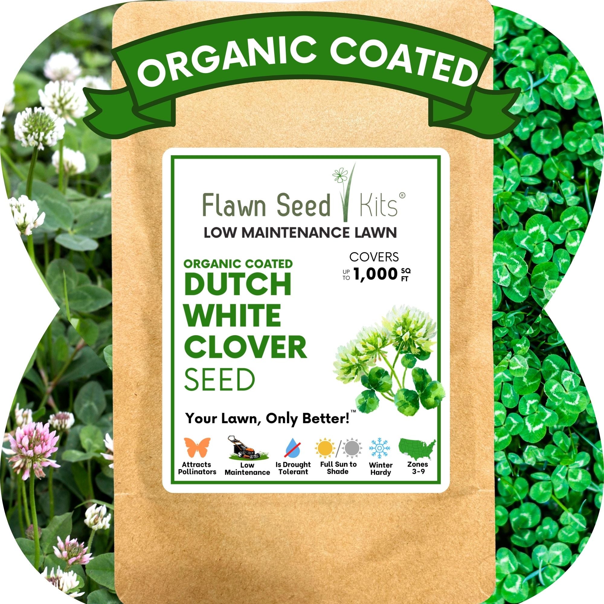 Dutch White Clover Seed: Your Resilient, Drought-Tolerant, Eco-Friendly Lawn Solution