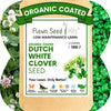 Dutch White Clover Seed: Your Resilient, Drought-Tolerant, Eco-Friendly Lawn Solution