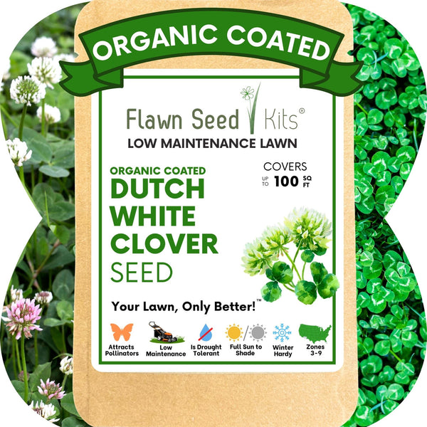 Dutch White Clover Seed: Your Resilient, Drought-Tolerant, Eco-Friendly Lawn Solution