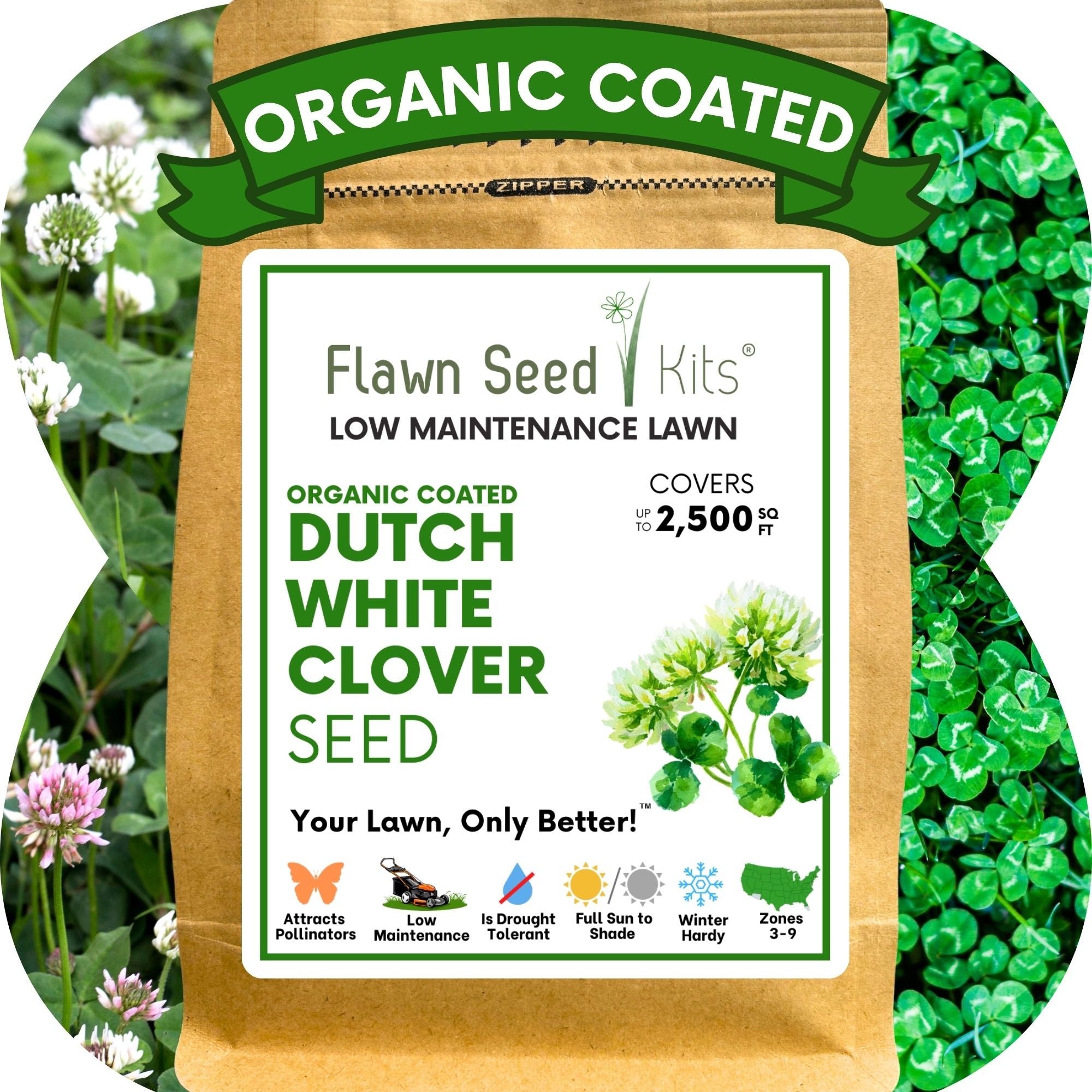 Dutch White Clover Seed: Your Resilient, Drought-Tolerant, Eco-Friendly Lawn Solution