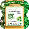 Dutch White Clover Seed: Your Resilient, Drought-Tolerant, Eco-Friendly Lawn Solution