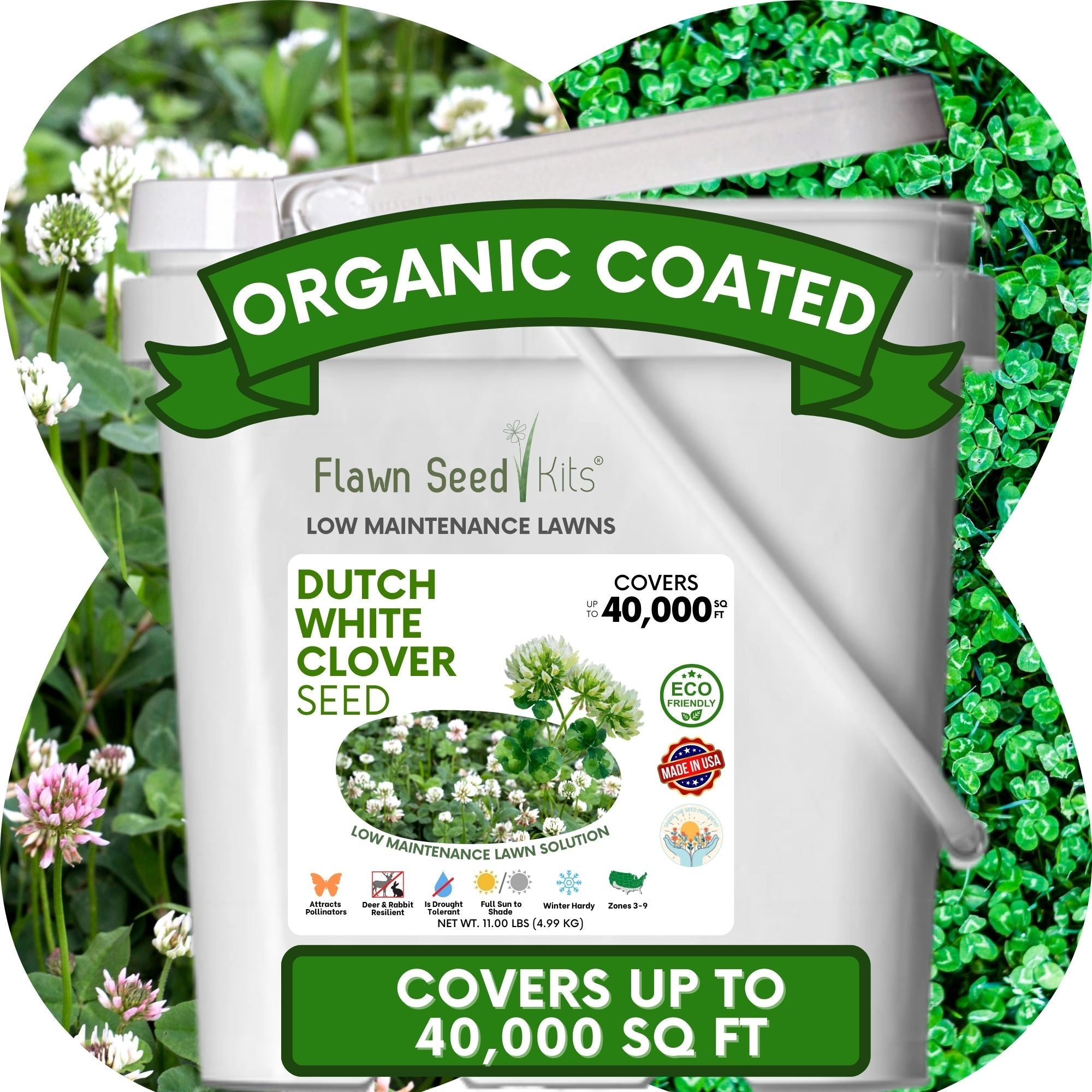 Dutch White Clover Seed: Your Resilient, Drought-Tolerant, Eco-Friendly Lawn Solution