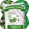 Dutch White Clover Seed: Your Resilient, Drought-Tolerant, Eco-Friendly Lawn Solution