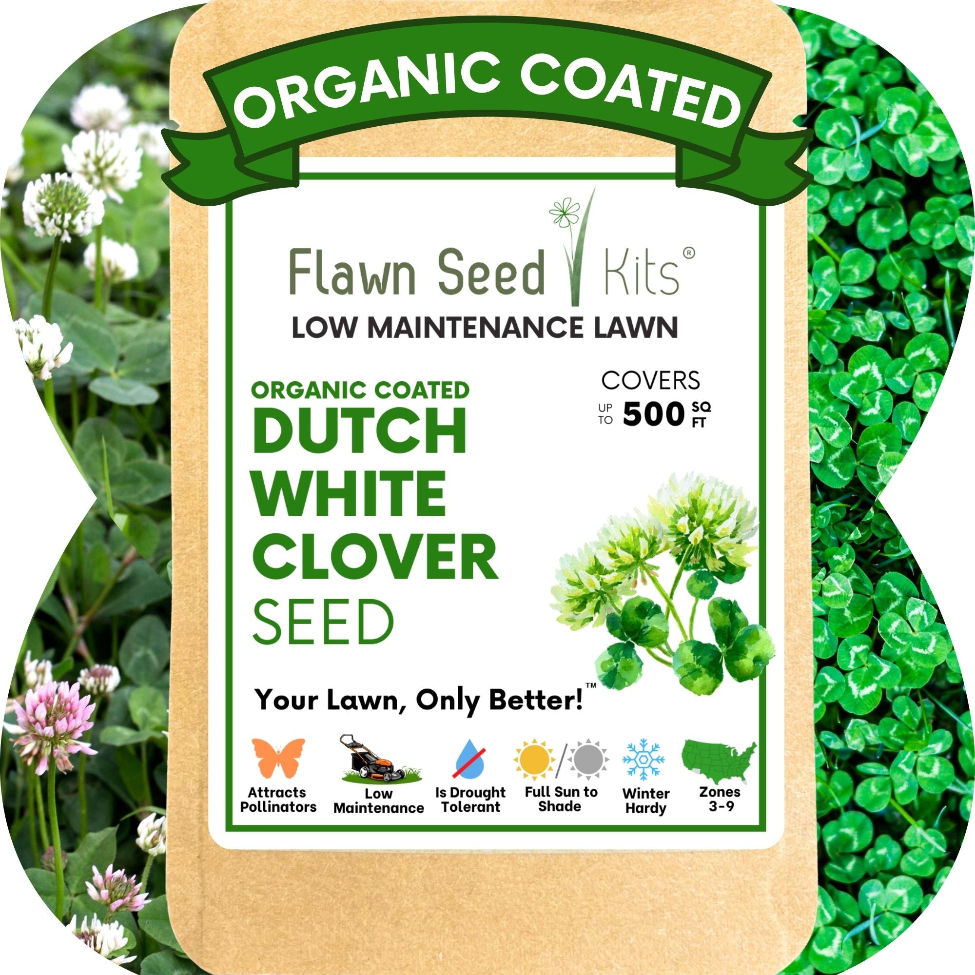 Dutch White Clover Seed: Your Resilient, Drought-Tolerant, Eco-Friendly Lawn Solution