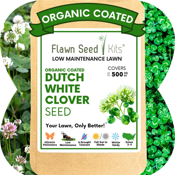 Dutch White Clover Seed: Your Resilient, Drought-Tolerant, Eco-Friendly Lawn Solution