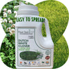 🌱 Dutch White Clover + Mow Less Grass Seed Blend