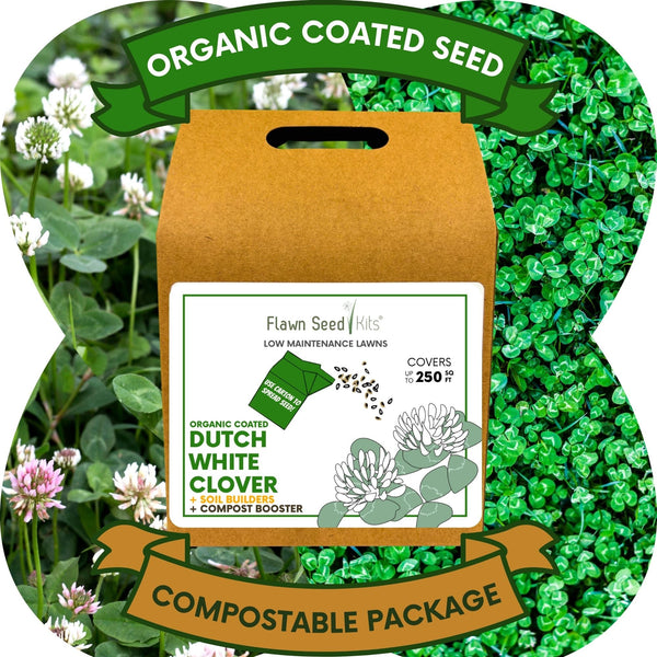 🌿 Dutch White Clover Eco-Friendly Seeding Kit (LIMITED TIME)