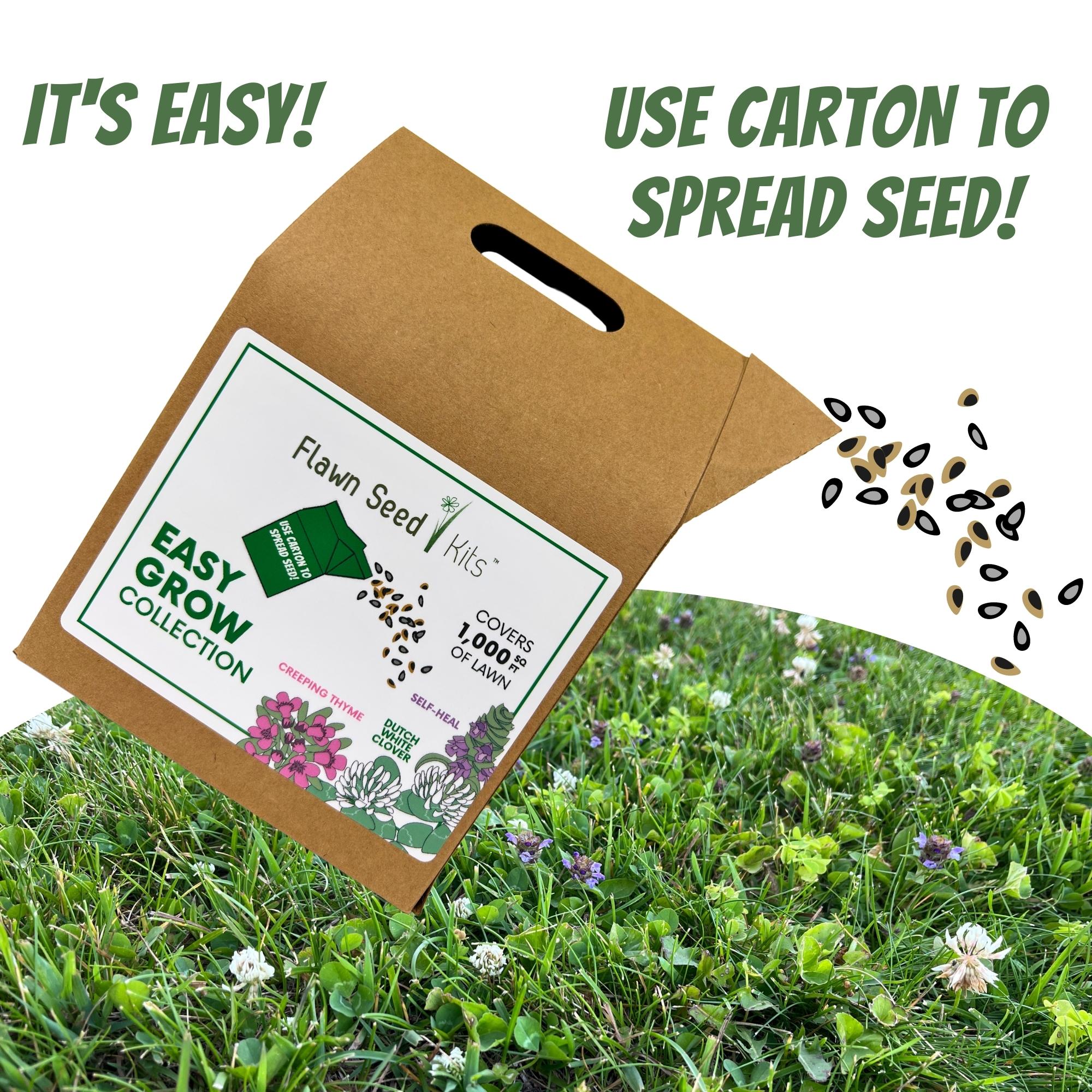 Flawn Seed Kits packaging with seeds on a grassy background