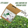 Flawn Seed Kits packaging with seeds on a grassy background