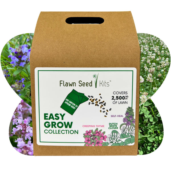 Easy Grow Dutch Clover Bee Lawn Eco-Friendly Kit