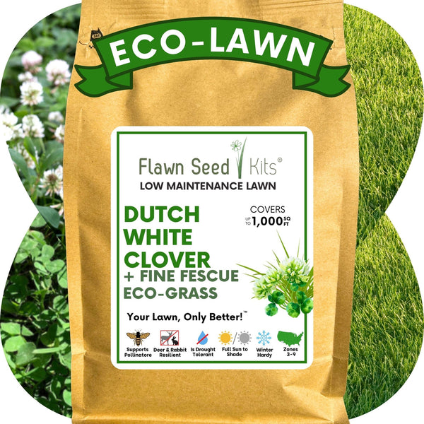🌱 Dutch White Clover + Mow Less Grass Seed Blend