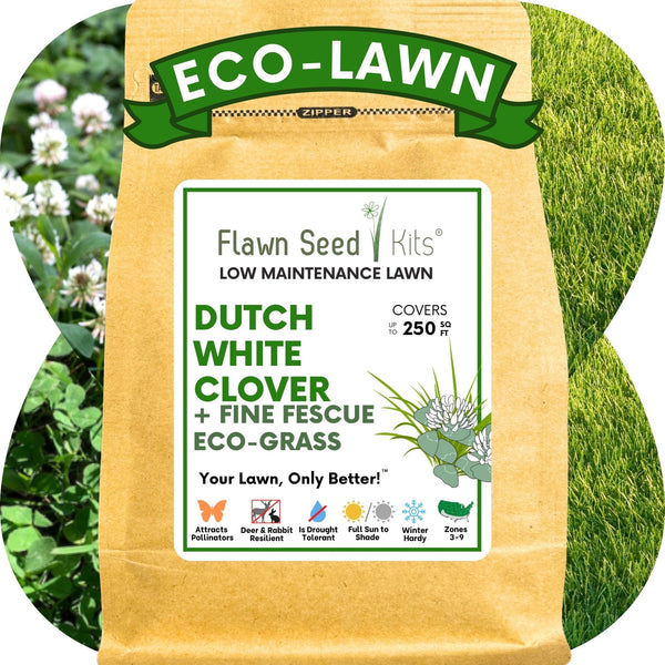 🌱 Dutch White Clover + Mow Less Grass Seed Blend