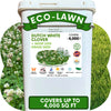 🌱 Dutch White Clover + Mow Less Grass Seed Blend